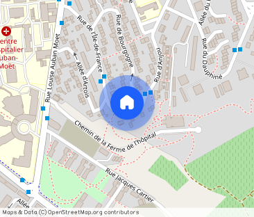 Location Appartement 2 pièces 51m² EPERNAY 51200 - Photo 1