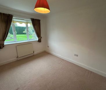 Brandon, Sedge fen - Photo 2