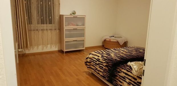 Ihr neues Wohnreich in Zumikon, befristet bis 31.03.2027 - Photo 1