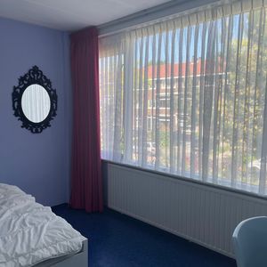 Room Dordrecht - Reeweg Oost - Foto 2