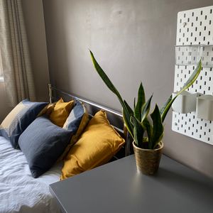 A Stunning House Share - Photo 2