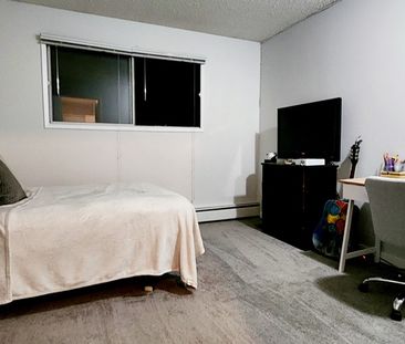 1 Bedroom Cat Friendly Suite in Clearview - Photo 1