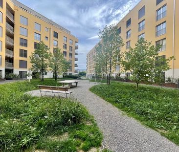 Helle 2.5-Zimmer-Wohnung mit Balkon an der Murtenstrasse in Bern - Foto 6