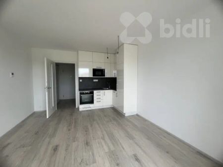 Pronájem bytu 1+kk/B, 33 m - Photo 3