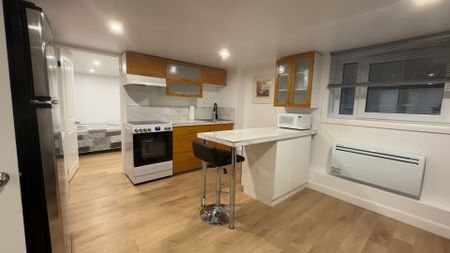 For Lease - 4992 Mcrae Street Unit# Basement, Niagara Falls, Ontario - Photo 2