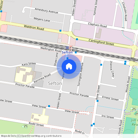 36 Helen Street, NSW 2162, Sefton