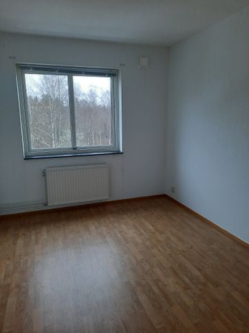 Björkvägen, Kosta - Photo 3