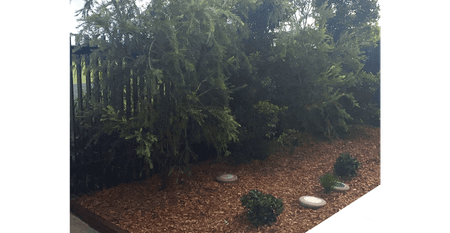 Picturesque Setting - Photo 2