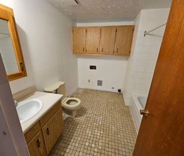 1 CH - 1 SDB - Windsor - $825 /mo - Photo 4