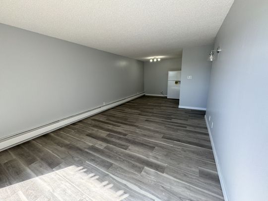 2 WEEKS FREE RENT! Newly Reno'd 1-Bedroom Apartment - SMALL PET FRIEN - Photo 1