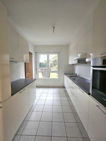 3.5 locali con giardino - Foto 3