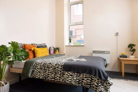 Extra Large Standard Single Studio - Photo 4