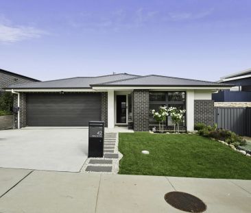Modern Near-New Family Home on Private Level Block - Photo 3