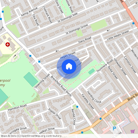 Handfield Street. Liverpool. L5