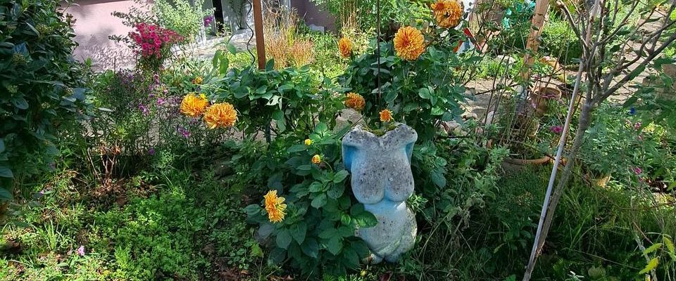 2 Zimmerwohnung in ruhiger Ortsrandlage - Foto 1