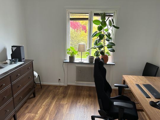 Lindengatan, Linköping - Photo 1