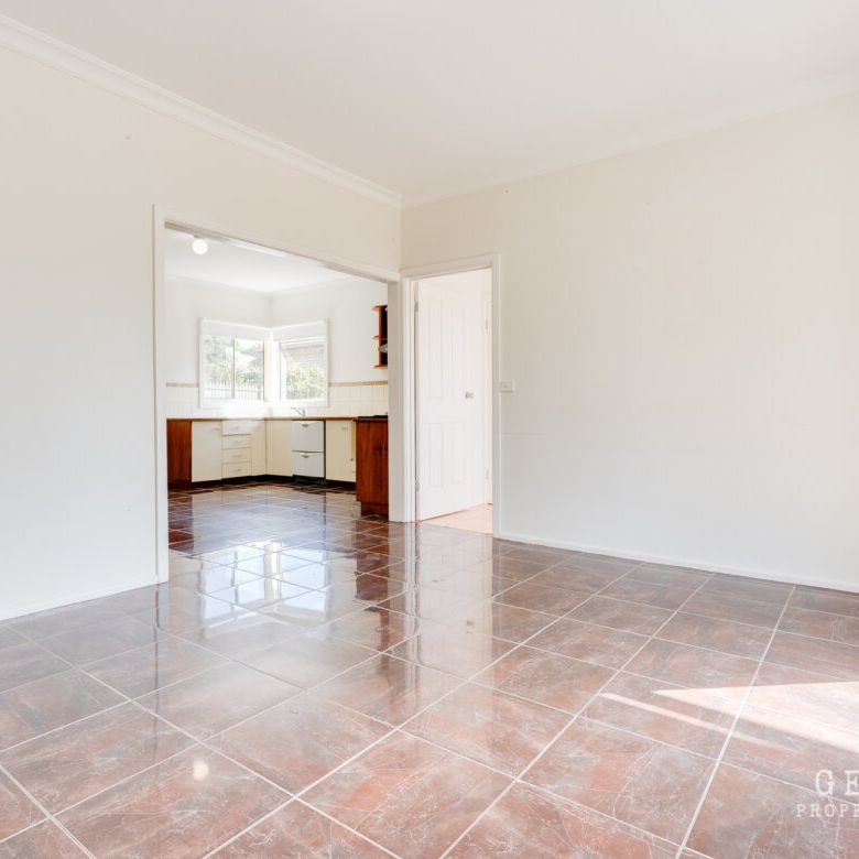 133 Vines Rd Hamlyn Heights - Photo 1