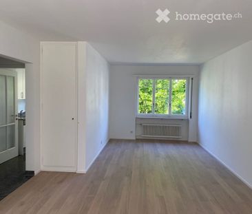 Charmante, lichtdurchflutete und ruhige 3.5 Zimmerwohnung - Photo 3
