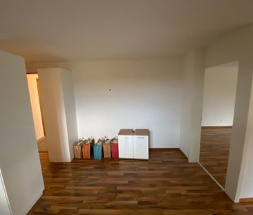 2.5 Zimmer, 58 m², 2. Stock - Foto 6