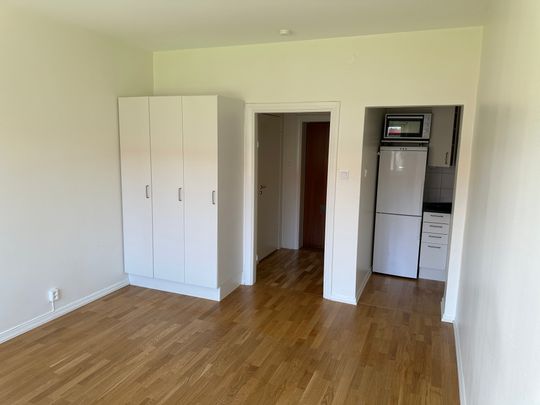 Hertig Karls Allé 39 - Foto 1