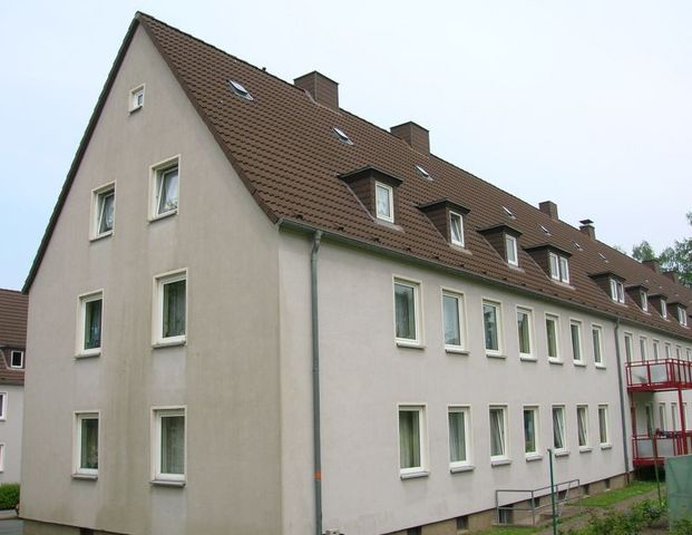 3-Zimmer-Wohnung in Detmold Stadtmitte - Foto 1
