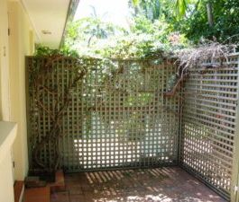 2/4 Dalpura Street, Surfers Paradise QLD 4217 - Photo 5