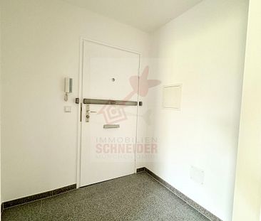 IMMOBILIEN SCHNEIDER - Lehel - Wunderschöne, frisch sanierte 3-Zi-Whg. direkt am Englischen Garten - Foto 2