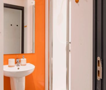 Deluxe Studio - Photo 4