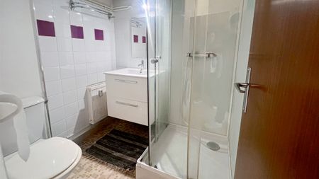 Appartement meublé avec chauffage et eau comprise ! - Photo 4