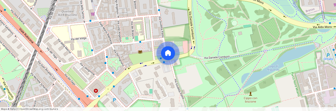 Via Giuditta Pasta, Milan, Lombardy 20161