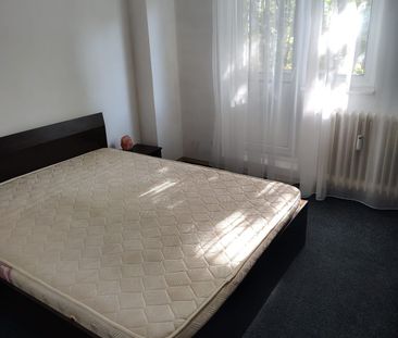 AP. 2 CAMERE- TIMPURI NOI, PET-FRIENDLY, MODERN, METROU 8 MINUTE - Fotografie 4