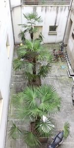 Location T2 Meublé République - Photo 3