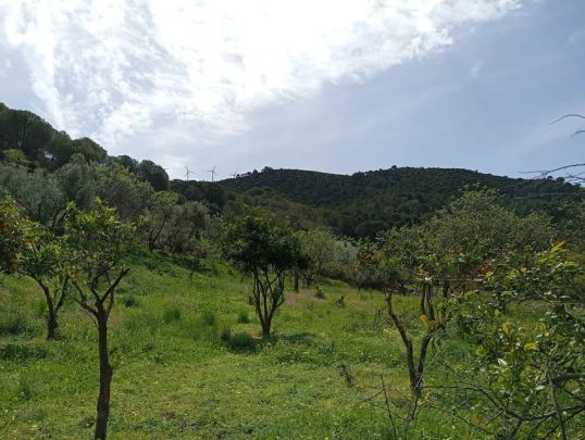 Alquiler de casa o chalet independiente en Via Sin Nombre Los Guaperos, 1 - Photo 1