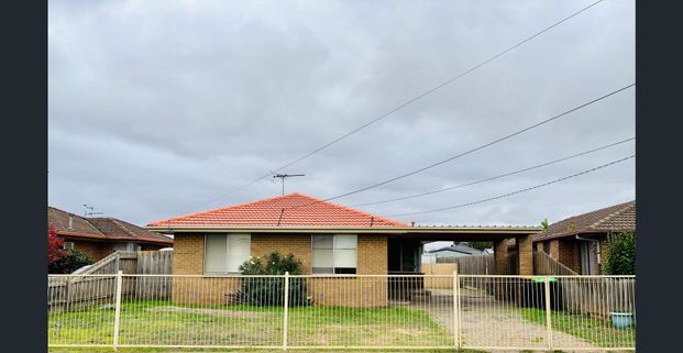 Beautiful family home in perfect location!!! - Photo 1