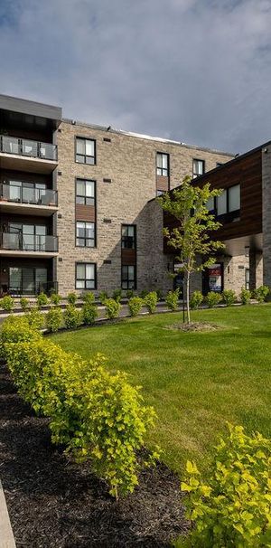 Le Félix- 5 1/2 + Lévis- 1er MAI 2026 - NEUF - Photo 1