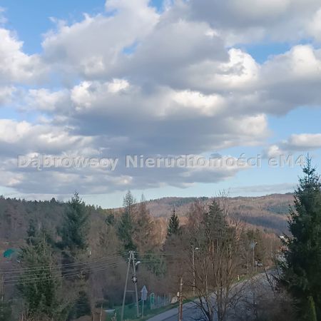 Mieszkanie na wynajem 37,00 m² Jedlina-Zdrój - Photo 3