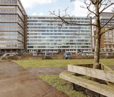 Bos en Lommerplantsoen 1055 Amsterdam - Foto 4