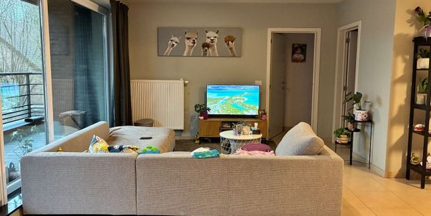 Appartement te huur in Kruishoutem voor € 925 met 3 slaapkamers - Photo 1