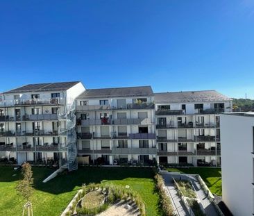 3-Zimmer-Erdgeschosswohnung in der Weimarer Straße: schick, modern,... - Foto 1
