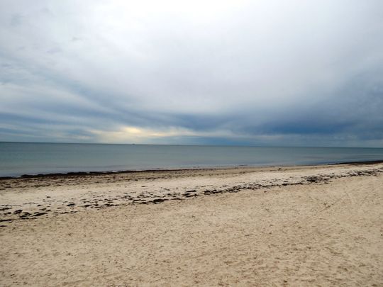 Beachfront Living at Its Best - Photo 1