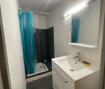 Appartement T1 Canet-en-Roussillon à louer - Photo 5