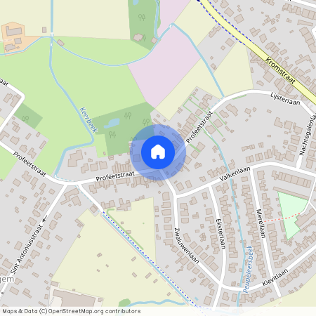 Profeetstraat, 29, 2520, Ranst