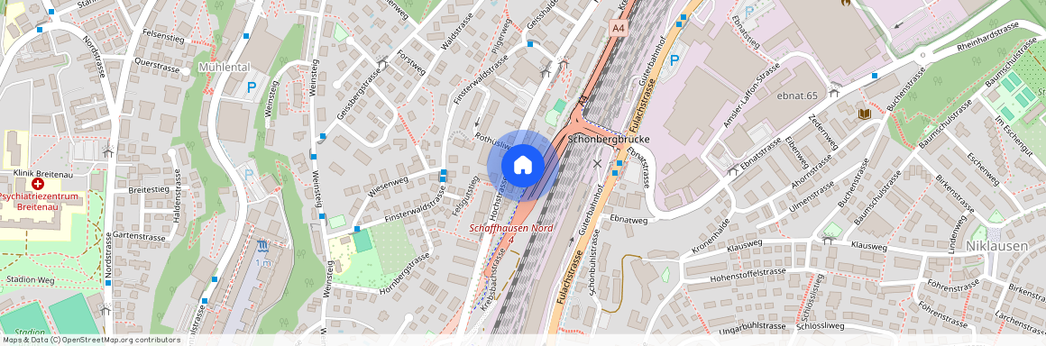 8200, Schaffhausen, Krebsbachstrasse, 53