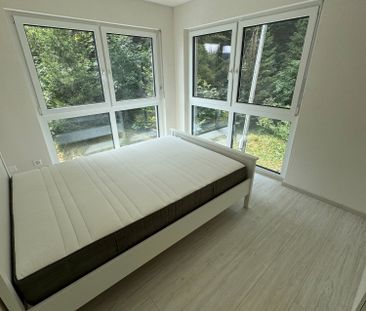 3.5 Zimmer, 85 m² - Photo 2