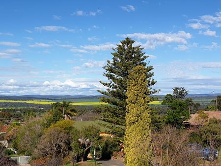Ray White Real Estate Parkes - Photo 4