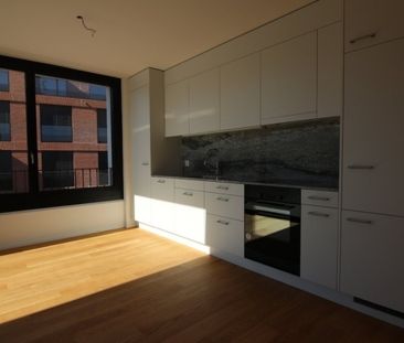 Appartement mansardé moderne à louer à Wädenswil - Photo 4