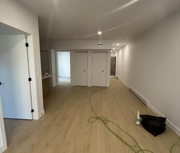 Magnifiques logements neufs à louer au centre-ville de Trois-Rivières - Photo 4