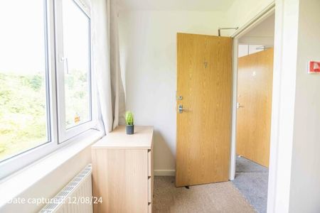 Room 7, 50 Eastfield Crescent - Photo 2