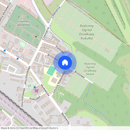ul. Brzozowa, Centrum, Siemianowice Śląskie, śląskie