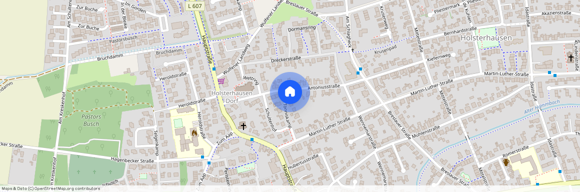 Antoniusstraße Nr.43, 46284 Dorsten